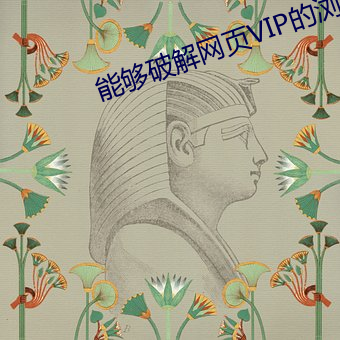 能够破解网页(yè)VIP的浏览器