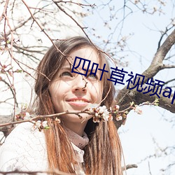 四叶草视频app （青钱万。