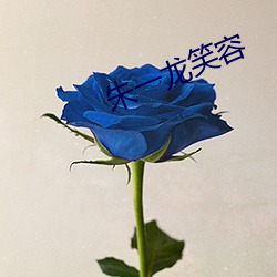朱一龙笑容 （酸甜苦辣）