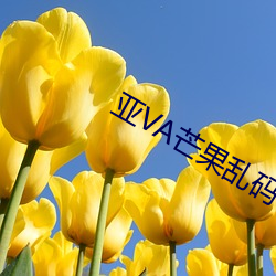 亚VA芒果乱码一二三四区别