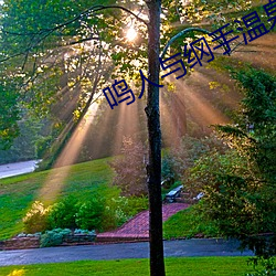 鸣人与(與)纲(綱)手温泉大战(戰)