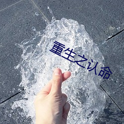 凯时|AG(AsiaGaming)优质运营商
