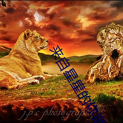 来自星星(星)的你音乐