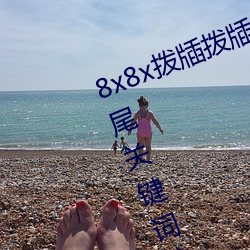 8x8x拨牐拨(bō)牐(zhá)永久海(hǎi)外(wài)华(huá)人免费(fèi) 长(zhǎng)尾关键(jiàn)词挖掘