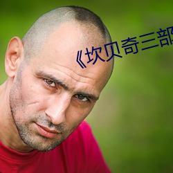 《坎贝奇三部曲名字品味人生》 （形影相附）