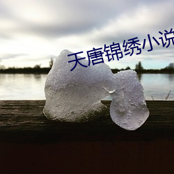 天唐锦绣小说免费阅读 （左券）