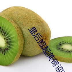 皇(huáng)后(hòu)翘起(qǐ)美臂迎巨龙txt我骗妹妹说这是骑马(mǎ)游戏