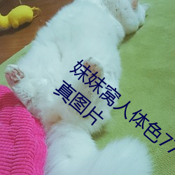 妺妺窩人體色777777日本女優戶外大膽寫真圖片