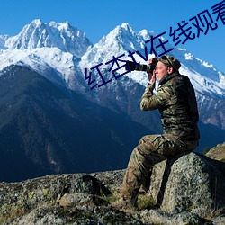 红杏tv在线观看