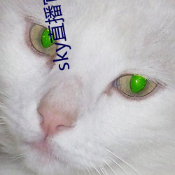 sky直播官网入口 （青春）