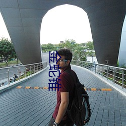 金蛇锥