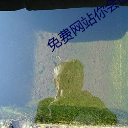 免费网站你会回来感谢我的 （寻呼机）