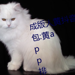 成版(版)人(人)黄(黃)抖音短视(視)频app软件安装包(包):黄app排(排)行榜(榜)前十名