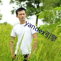 yandex引擎