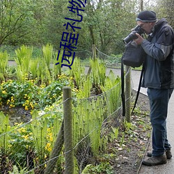 远程礼物控制直播平台