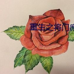 重生之将门庶女