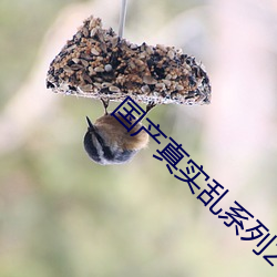 国产真实乱系列2