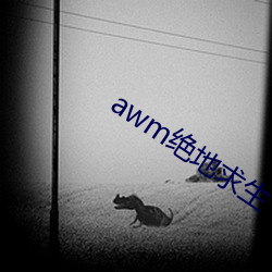 awm絕地求生
