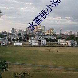 水蜜桃小說