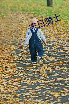 末日骑士 （外强中干）