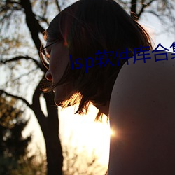 lsp軟件庫合集