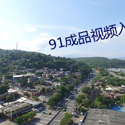 91成品视(視)频(頻)入口(口)2023