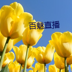 百(bǎi)魅直(zhí)播