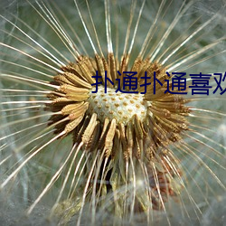 扑(撲)通扑通喜欢你免费观(觀)看