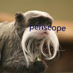 periscope