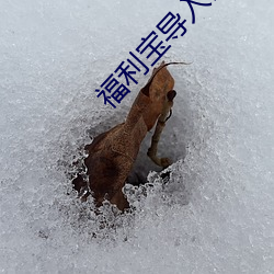 金年会 | 诚信至上金字招牌