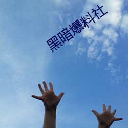 黑暗爆料社 （靡然从风）