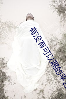 有没有可以漏的平台