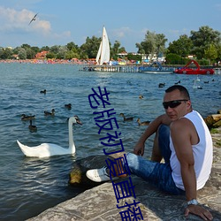老版初夏直播 （副歌）