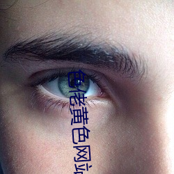 色(sè)佬黄色(sè)网站
