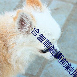 含羞草觸摸前觸摸時觸摸後