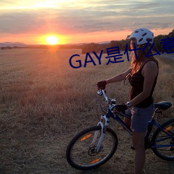 GAY是什么意思