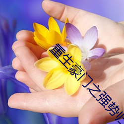 重生豪门之强势归来