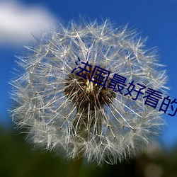 法國最好看的三極