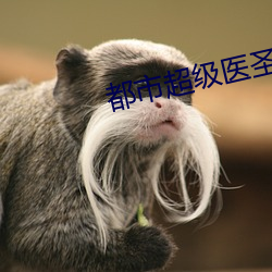 都(都)市超级医圣(聖)