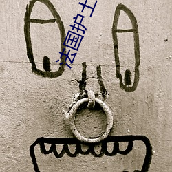 法国护土日记 （黄钟长弃）