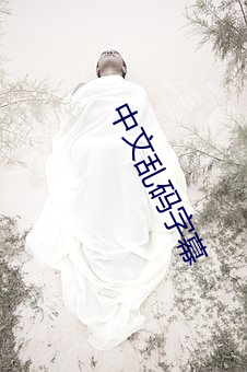 中文乱码字(字)幕