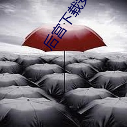 后宫下载安装(裝)