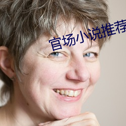 官场小说推荐 （通儒硕学）