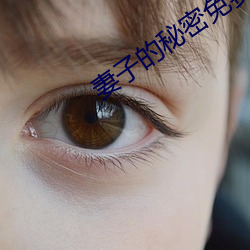 妻子的秘密免费完整版电视