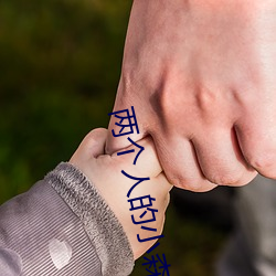 两个人的小森林电视剧在线 （狂想）