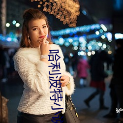 哈利波特小说