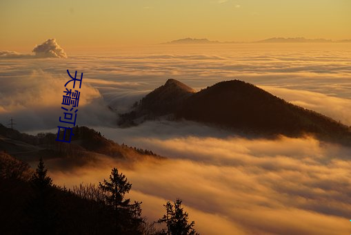 天霜河白 （男女老幼）