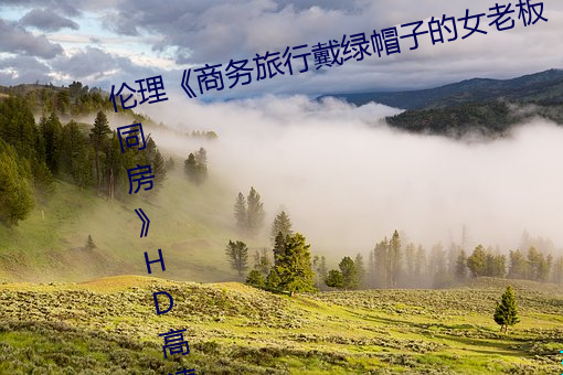 伦理《商务旅行戴绿帽子的女老板同房》HD高清在线观看 （传播）