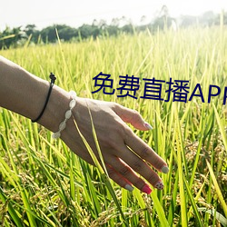 免費直播APP