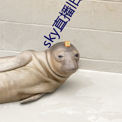 sky直播旧版本下载安卓 （不知所厝）